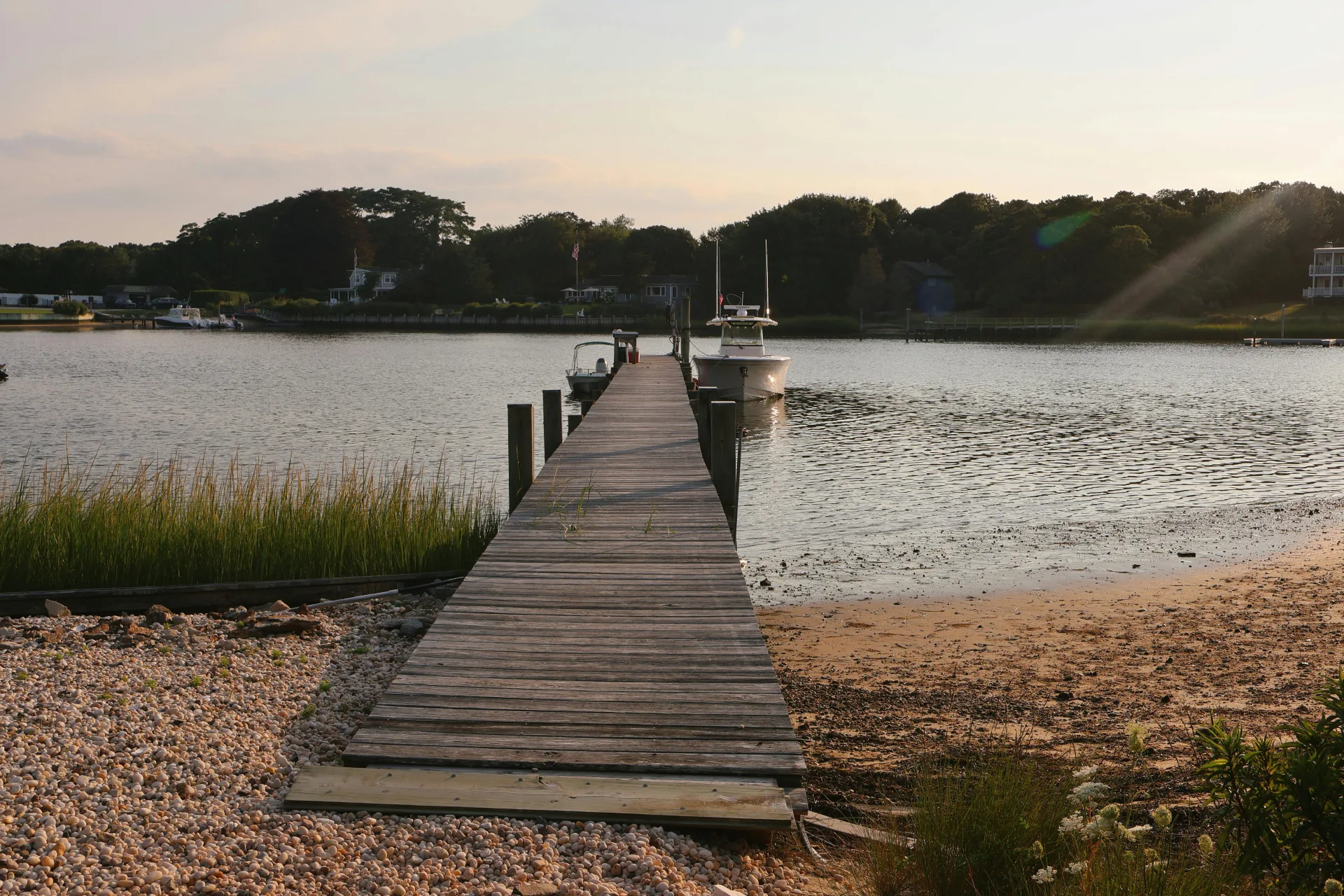 Guard yourself from Lyme disease